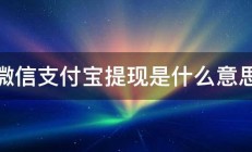 微信支付宝提现是什么意思 