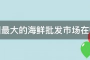 温州最大的海鲜批发市场在哪里 