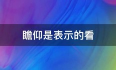 瞻仰是表示的看 