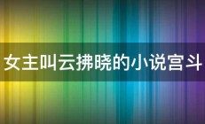 女主叫云拂晓的小说宫斗 