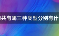 问句共有哪三种类型分别有什么用 