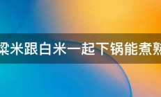 高粱米跟白米一起下锅能煮熟吗 