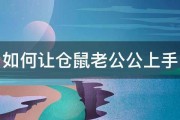 如何让仓鼠老公公上手 