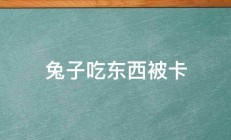 兔子吃东西被卡 