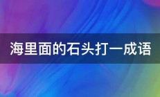 海里面的石头打一成语 