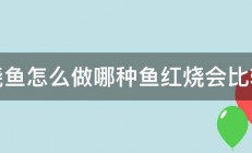 红烧鱼怎么做哪种鱼红烧会比较好 