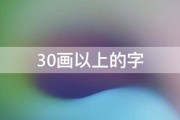 30画以上的字 