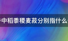 五谷中稻黍稷麦菽分别指什么作物 