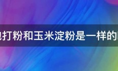 泡打粉和玉米淀粉是一样的吗 