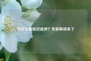 为什么要延迟退休？专家解读来了