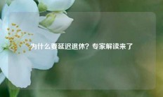 为什么要延迟退休？专家解读来了