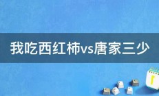 我吃西红柿vs唐家三少 