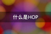 什么是HOP 