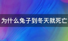 为什么兔子到冬天就死亡 