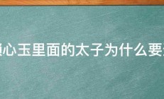 宫锁心玉里面的太子为什么要造反 