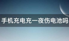 手机充电充一夜伤电池吗 