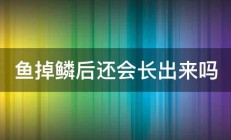 鱼掉鳞后还会长出来吗 