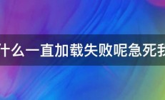 为什么一直加载失败呢急死我了 