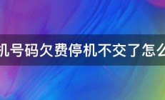 手机号码欠费停机不交了怎么办 