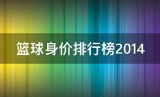 篮球身价排行榜2014 