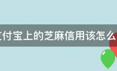 支付宝上的芝麻信用该怎么用 