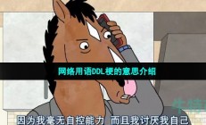 ddl是什么意思-网络用语ddl是什么梗