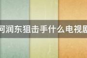 何润东狙击手什么电视剧 