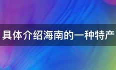 具体介绍海南的一种特产 