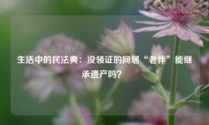 生活中的民法典：没领证的同居“老伴”能继承遗产吗？ 