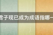 梁上君子现已成为成语指哪一类人 