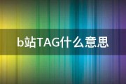 b站TAG什么意思 