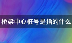 桥梁中心桩号是指的什么 