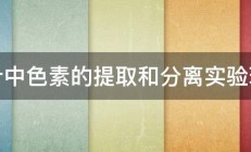 绿叶中色素的提取和分离实验现象 