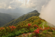 姑婆山(姑婆山天气)