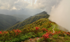 姑婆山(姑婆山天气)