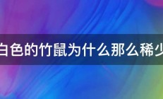 白色的竹鼠为什么那么稀少 