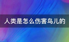 人类是怎么伤害鸟儿的 