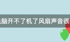 电脑开不了机了风扇声音很响 