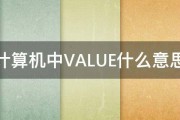 计算机中VALUE什么意思 