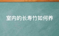 室内的长寿竹如何养 