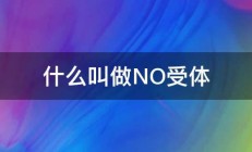 什么叫做NO受体 