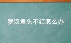 罗汉鱼头不红怎么办 