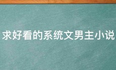 求好看的系统文男主小说 