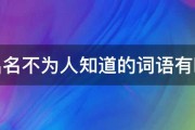 不出名不为人知道的词语有哪些 