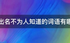 不出名不为人知道的词语有哪些 