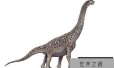 巴洛莎龙(Barrosasaurus)：体长30米的阿根廷超巨型食草恐龙