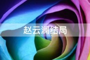 赵云澜结局 