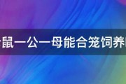 仓鼠一公一母能合笼饲养吗 