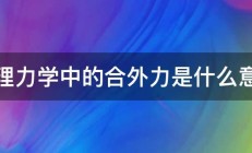 物理力学中的合外力是什么意思 