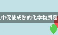 水果中促使成熟的化学物质是什么 